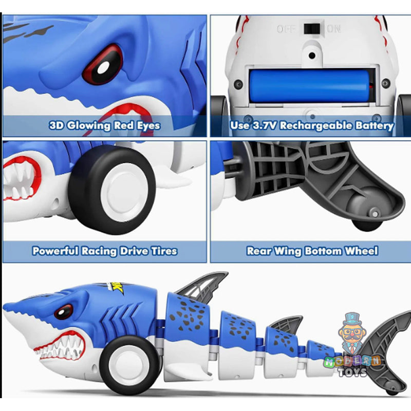 RC SHARK