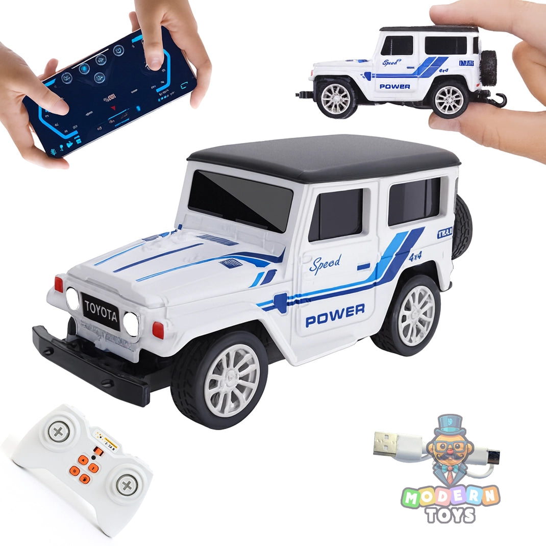 MINI RC CAR
