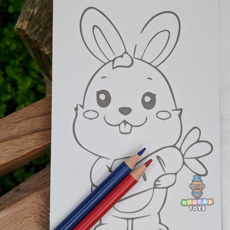 COLOURING SET