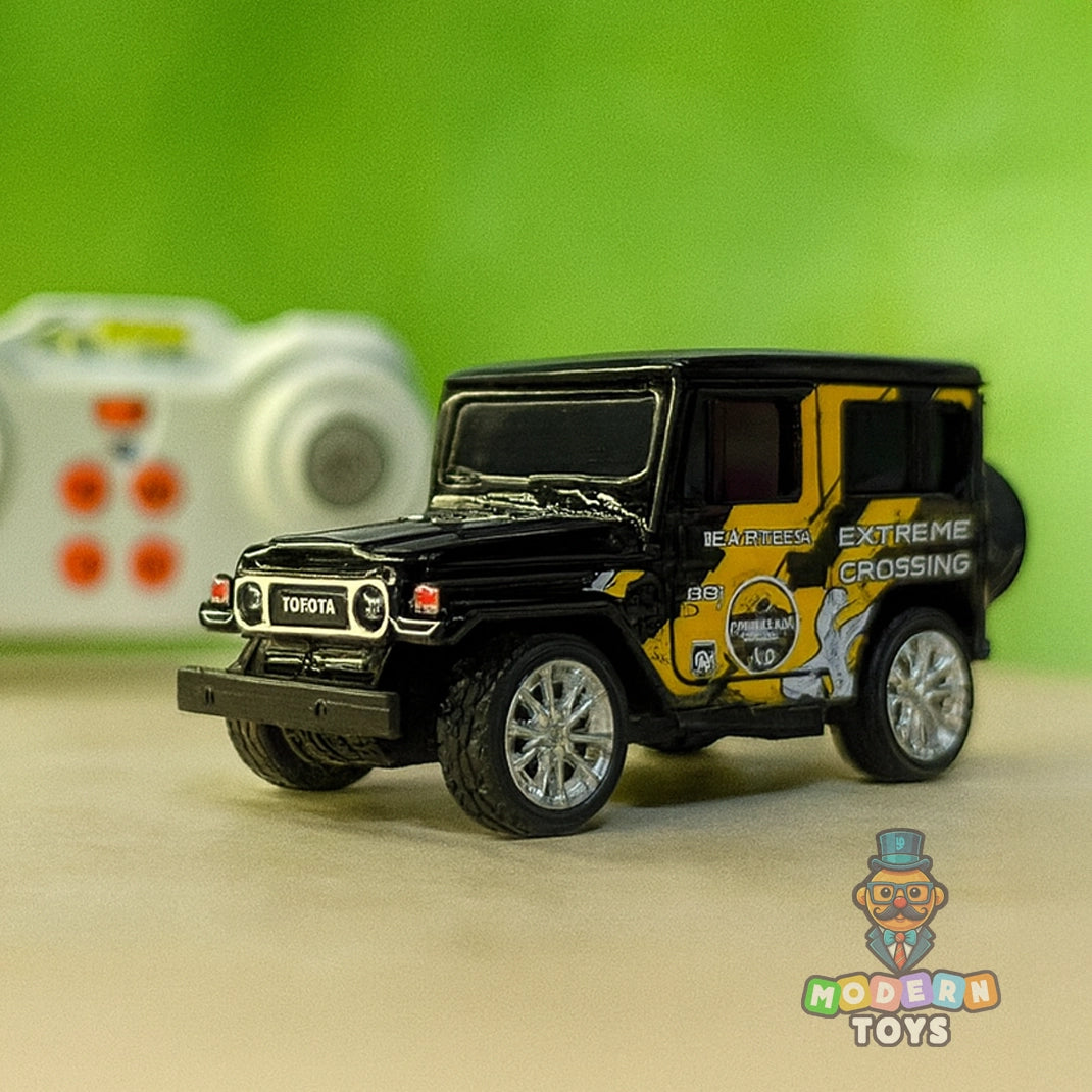 MINI RC CAR