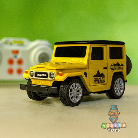 MINI RC CAR