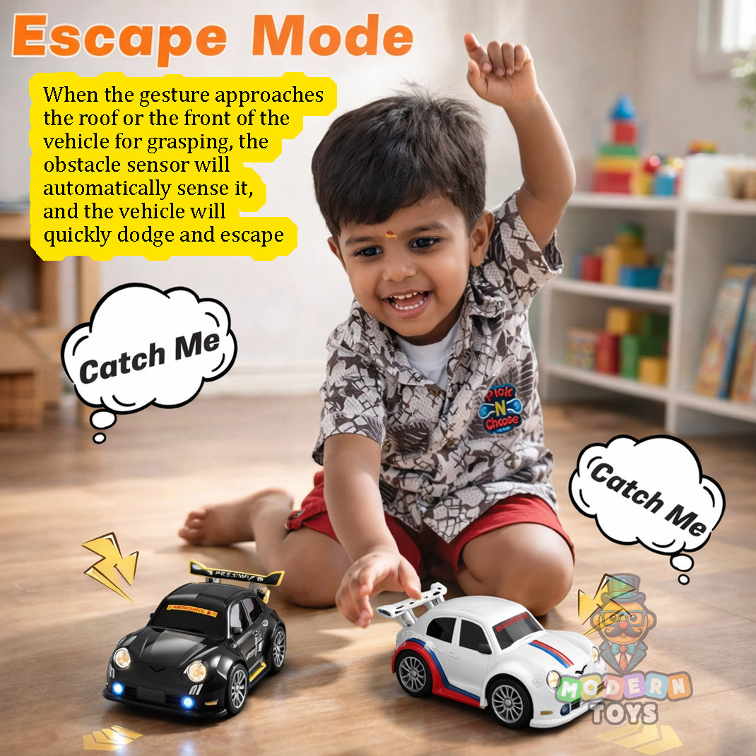 MINI DREAM RACING RC CAR