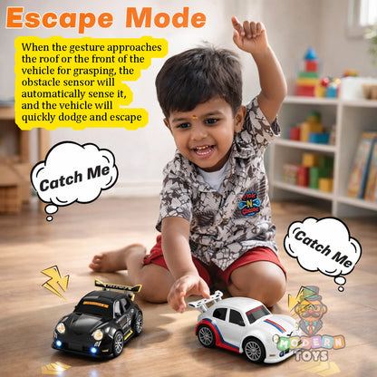 MINI DREAM RACING RC CAR