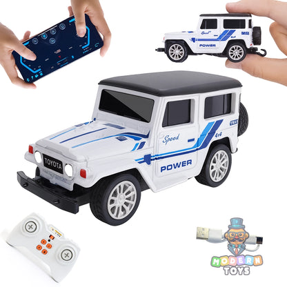 MINI RC CAR