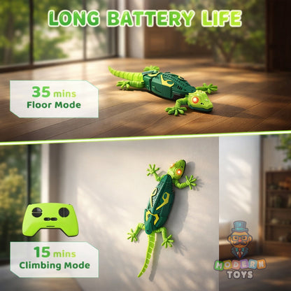 GECKOS TELECONTROL